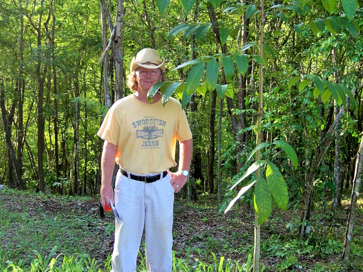 A person in a yellow shirt and white pants stands beside a small tree in a sunny, green forested area with rocks on the ground.