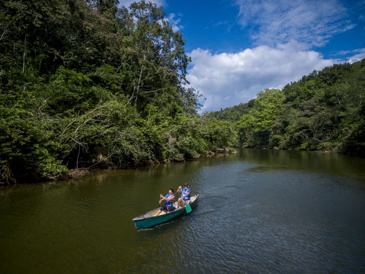 A group of people is rowing a boat on a calm river surrounded by lush green forest under a bright blue sky with scattered clouds, ending the sentence.