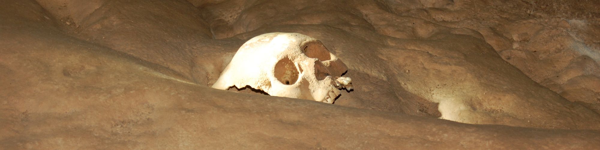 A partially buried human skull is visible in a cave-like environment, surrounded by dirt and rock formations.