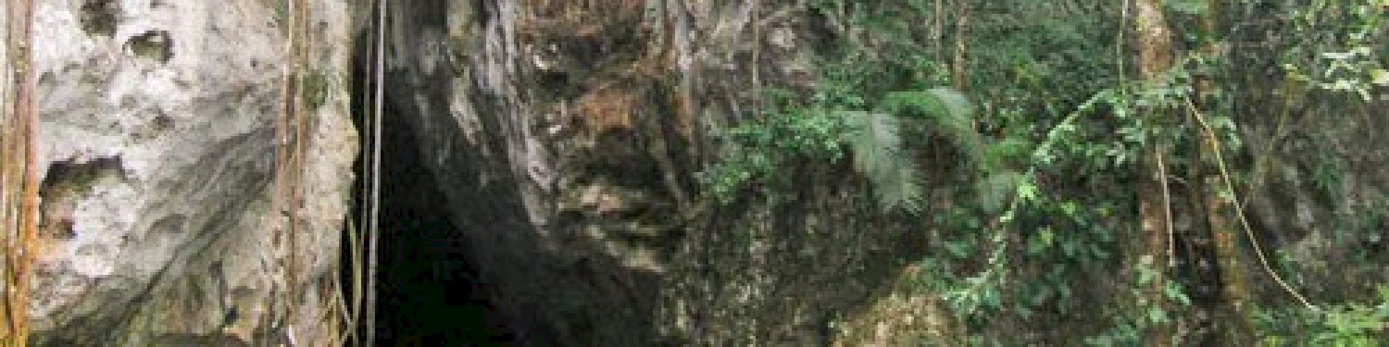 This image shows the entrance of a cave surrounded by lush greenery and trees, with water visible at the cave's base.