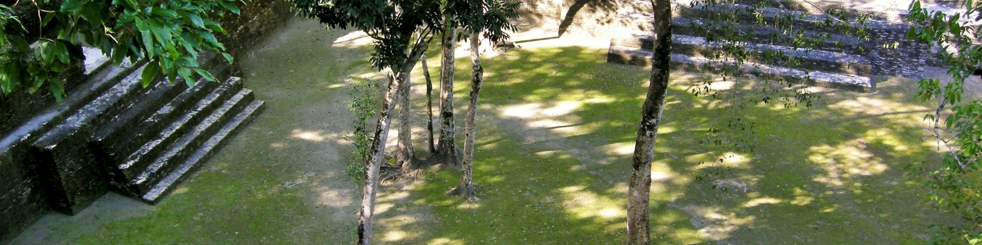 This image shows an ancient, possibly Mayan, archaeological site with stone steps, surrounded by trees and greenery, under a sunny sky.