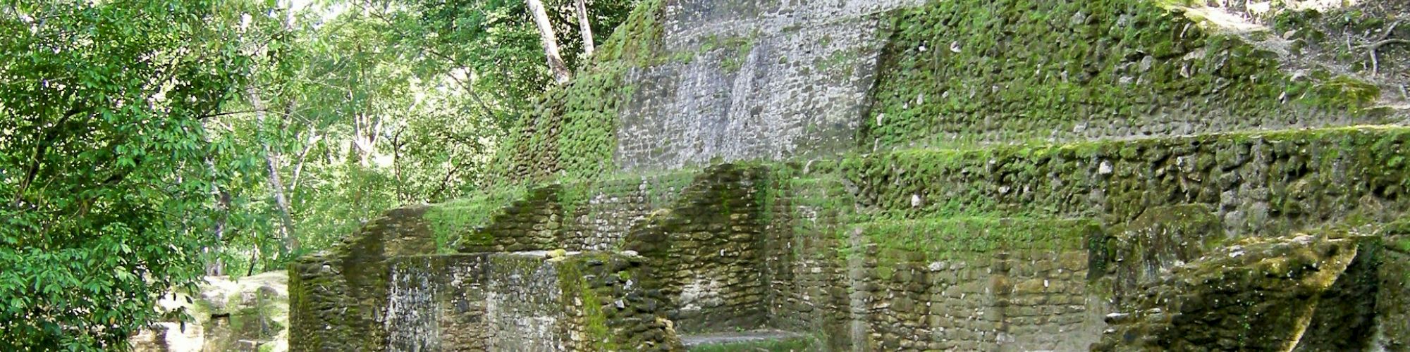 The image shows ancient stone ruins covered in moss surrounded by lush green trees.