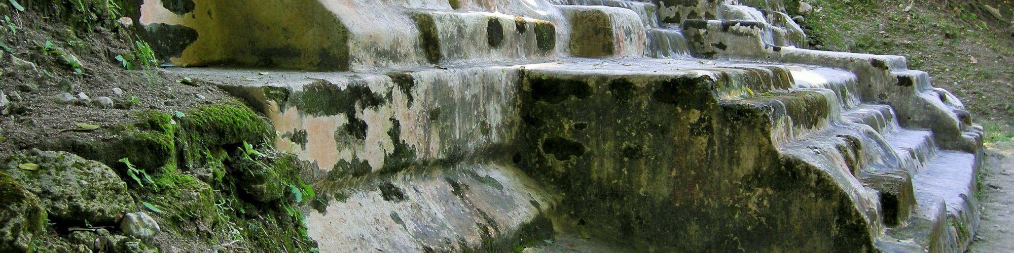 The image shows a set of ancient, weathered stone steps in a forested area, partially covered with moss and surrounded by greenery.