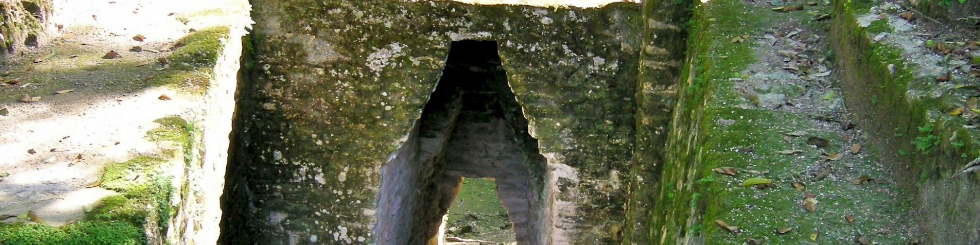 The image shows an ancient ruin with a narrow, triangular stone doorway surrounded by lush greenery and trees in the background.