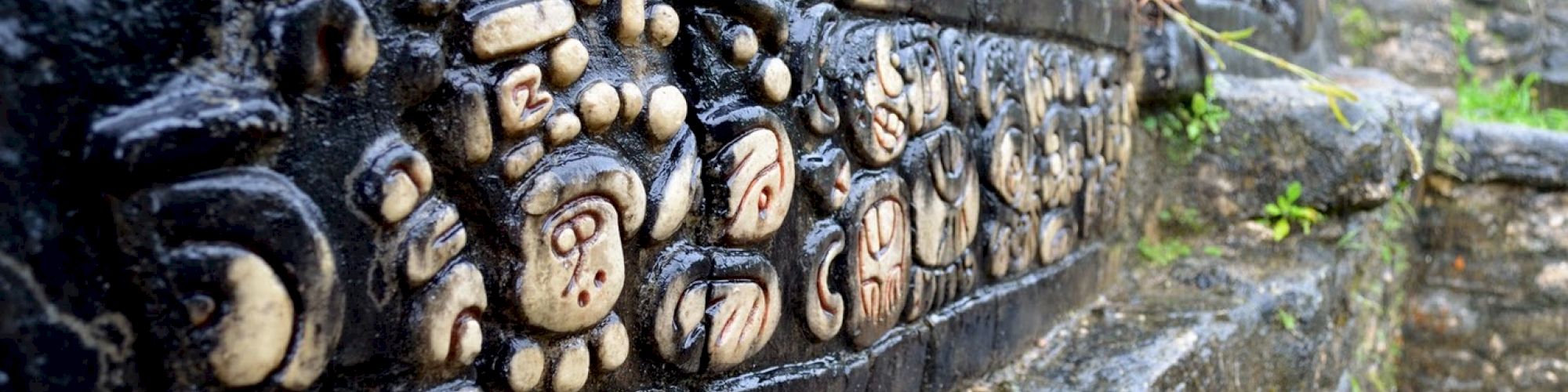 The image shows ancient stone carvings on a weathered wall, featuring intricate designs and glyph-like symbols, surrounded by greenery.