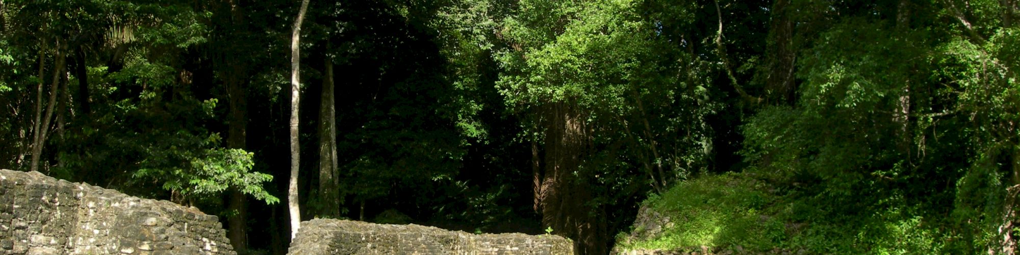 Two people are standing near ancient stone ruins surrounded by lush green trees and vegetation on a sunny day.