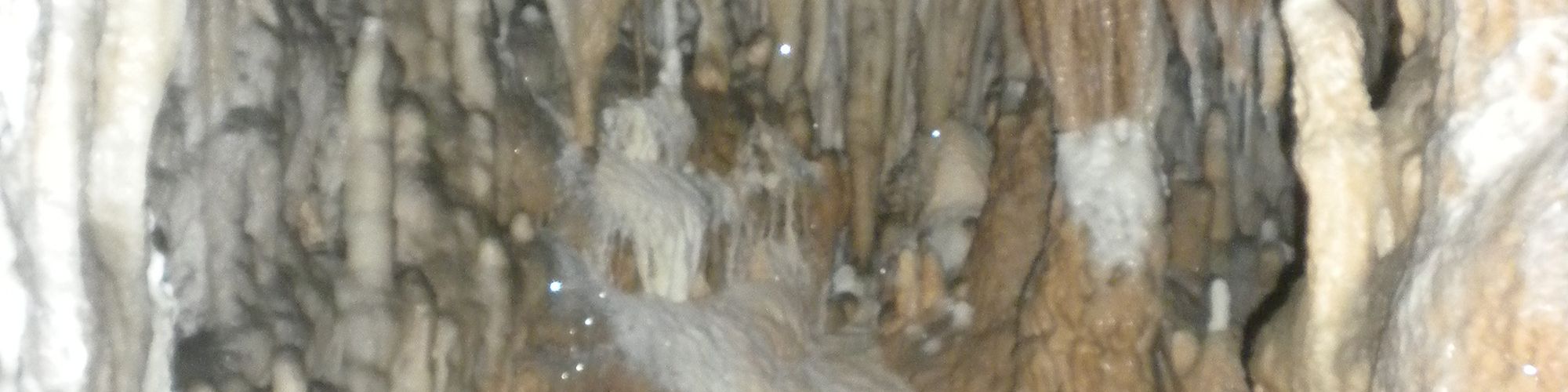 The image shows a cave interior with numerous stalactites hanging from the ceiling and stalagmites rising from the ground.