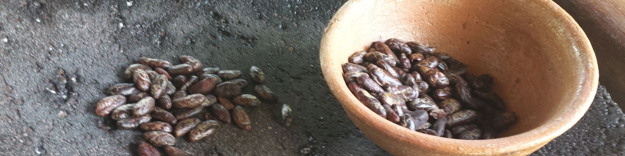 The image shows a bowl filled with cacao beans, and there are more cacao beans placed on a flat, dark surface next to it.