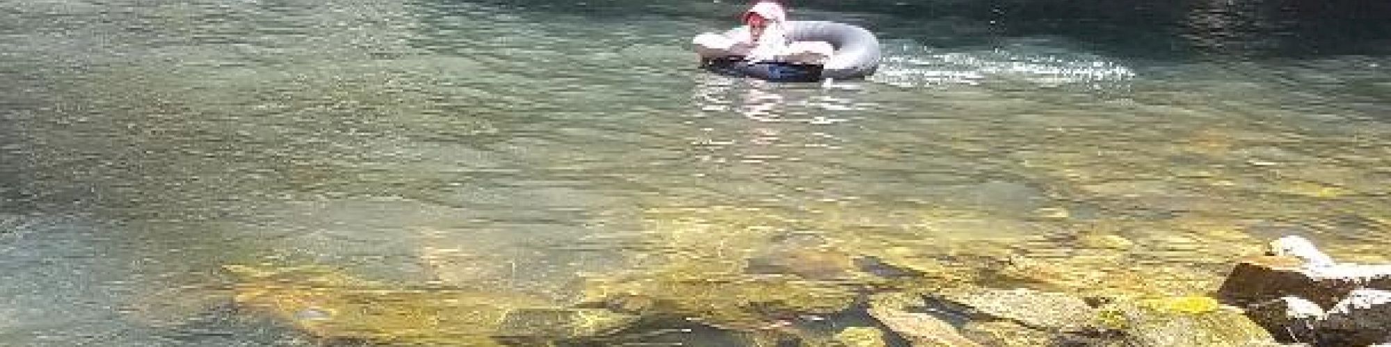 A person is floating on an inner tube on a river surrounded by rocks and dense forest, with sunlight filtering through the trees.