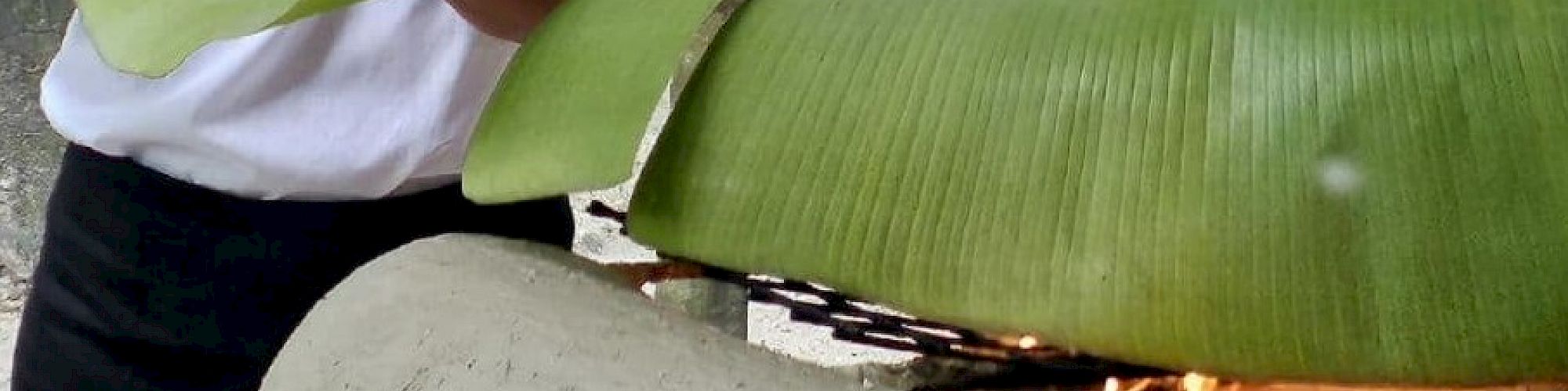 A woman uses a large green leaf, possibly to cover or cook something over an outdoor stone or clay oven with fire underneath.