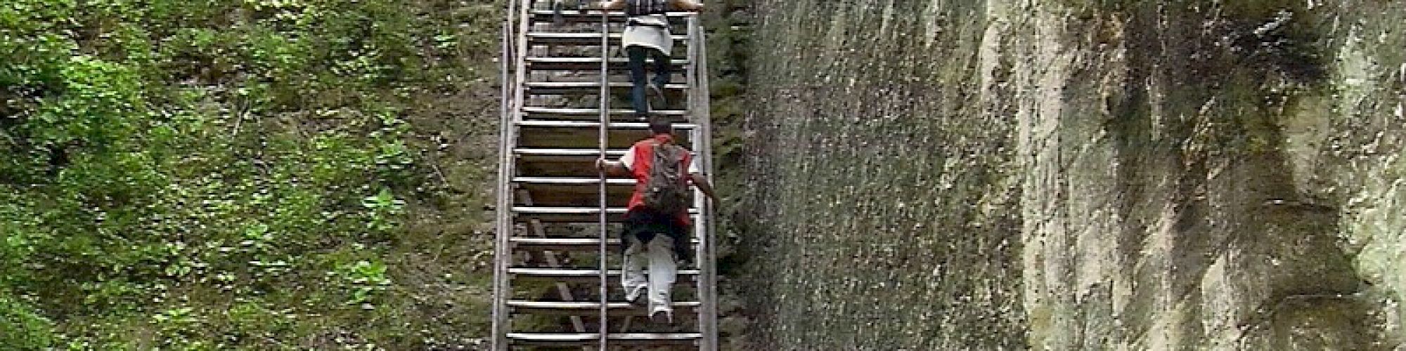 The image shows a steep, tall staircase attached to a large, moss-covered wall with several people climbing up the steps.