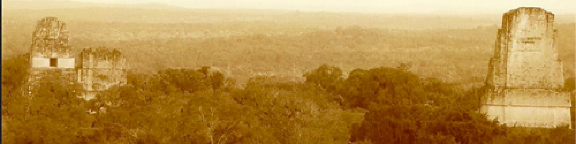 The image shows ancient Mayan temple ruins partially obscured by dense jungle foliage, with a misty sky in the background.