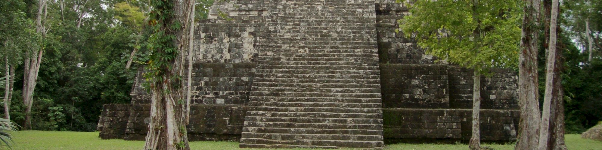 The image shows an ancient stone pyramid structure surrounded by trees and grass, possibly in a jungle.