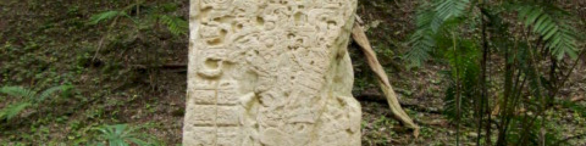 A carved stone stela stands in a forested area with trees and foliage in the background. The stela appears to have ancient inscriptions.