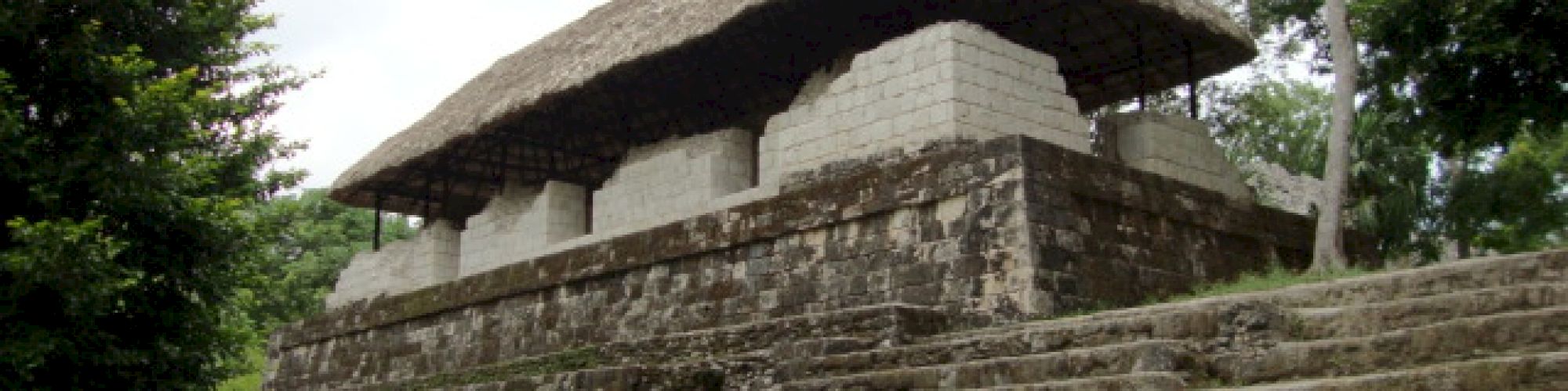 The image shows an ancient stone structure with a thatched roof, surrounded by trees and featuring a staircase leading up to it.