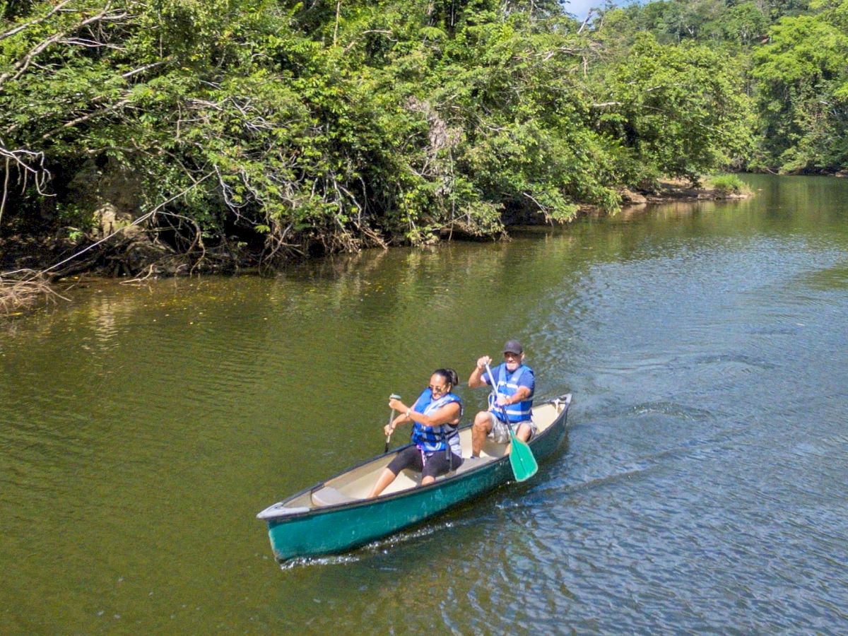 Two people in life jackets are paddling a canoe on a calm river surrounded by lush greenery.