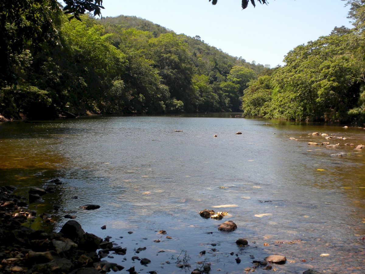 Table Rock Jungle Lodge