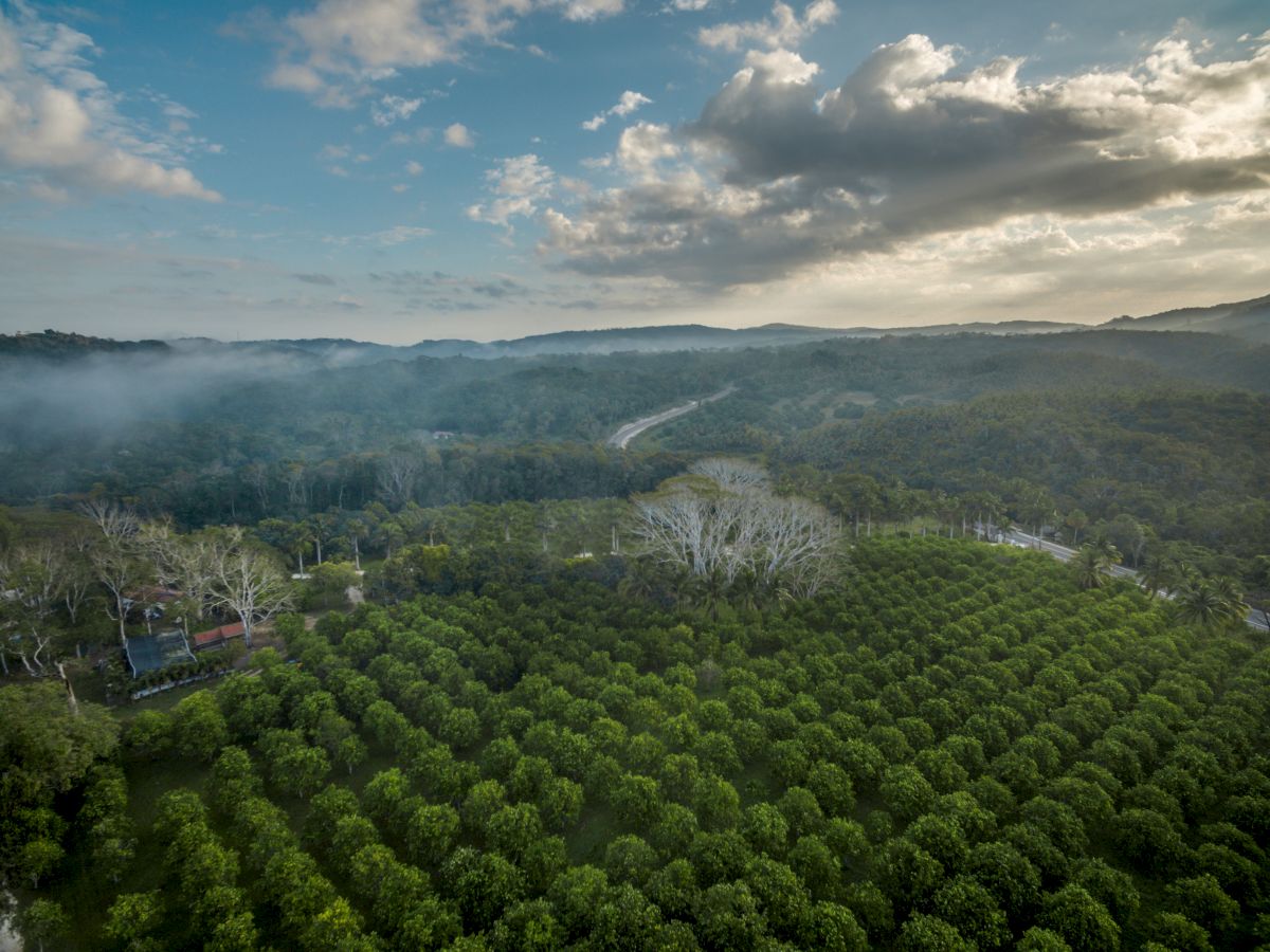 Table Rock Jungle Lodge