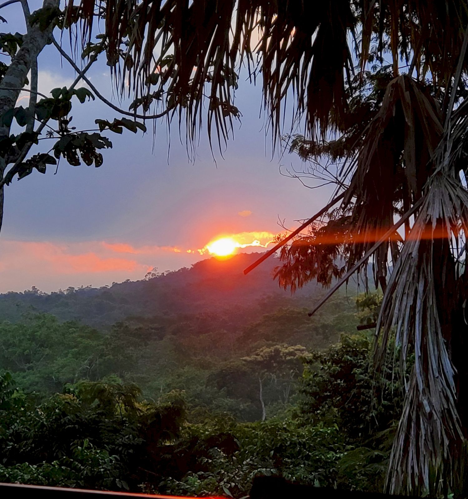 Table Rock Jungle Lodge