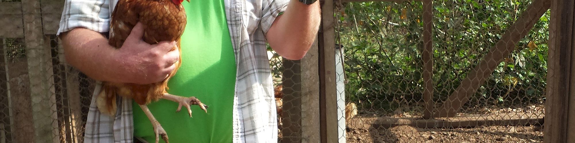 A man holds a chicken while another hand holds an egg; a young child stands nearby, smiling. They are in front of a chicken coop.