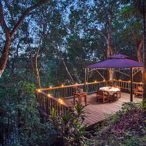 A serene outdoor dining area on a wooden deck in a forest, featuring tables under an umbrella with string lights for illumination, creating a cozy ambiance.