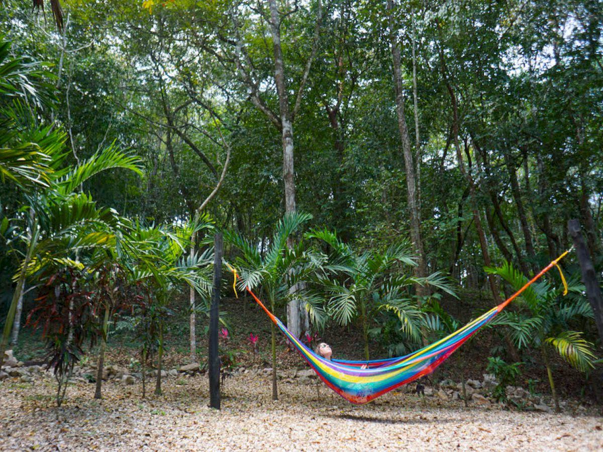 A colorful hammock is strung between two trees in a lush, green forested area, with a person relaxing inside it.