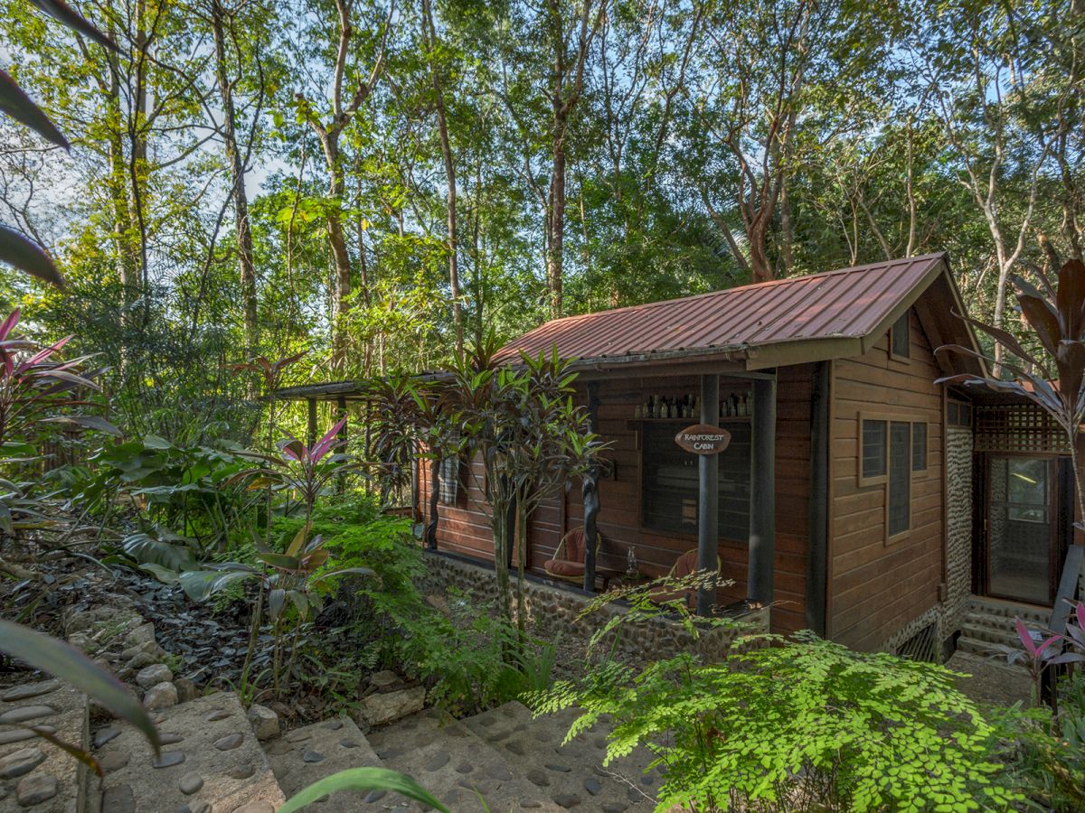 A small wooden house is nestled in a lush forest, surrounded by various plants and trees with stone steps leading up to it.