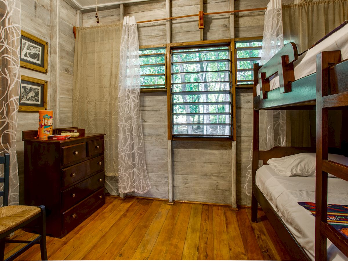 A cozy room with wooden walls and floor, containing a bunk bed, a dresser with books, and a chair, with light streaming through the window.