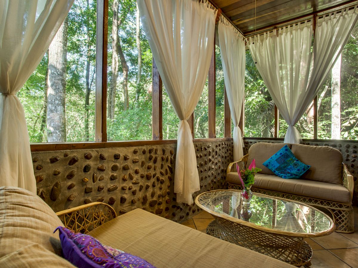 A cozy sunroom with large windows, sheer curtains, wicker furniture, colorful cushions, and a glass coffee table, surrounded by lush greenery outside.