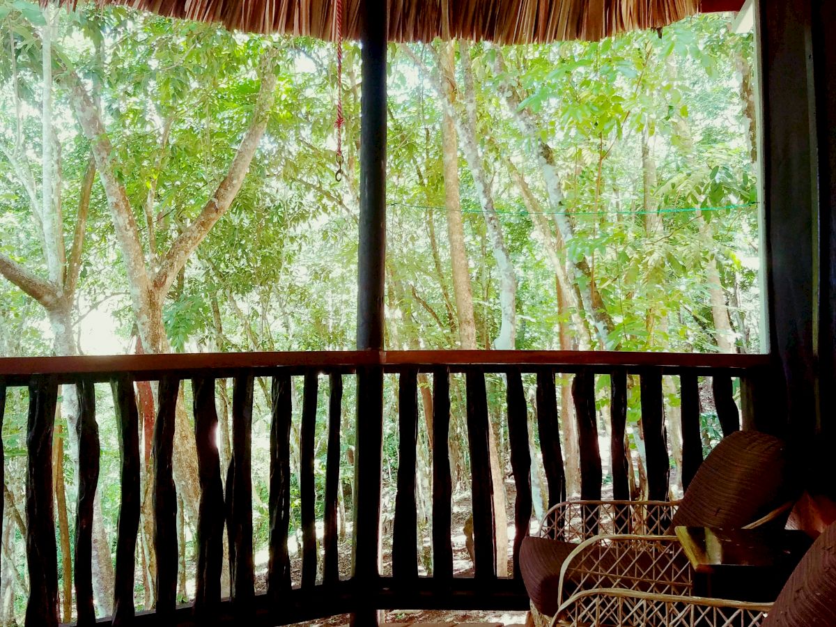 A cozy balcony with a thatched roof, rustic wooden railing, and wicker chairs overlooking a lush, green forest.