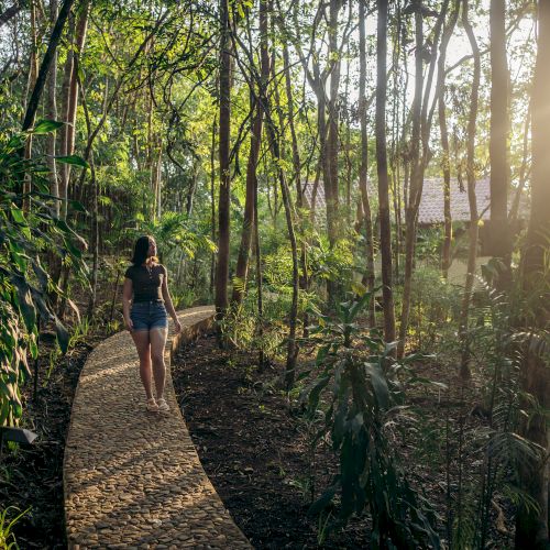 A person walking on a cobblestone path through a lush, sunlit forest with tall trees and green foliage, creating a serene and peaceful atmosphere.