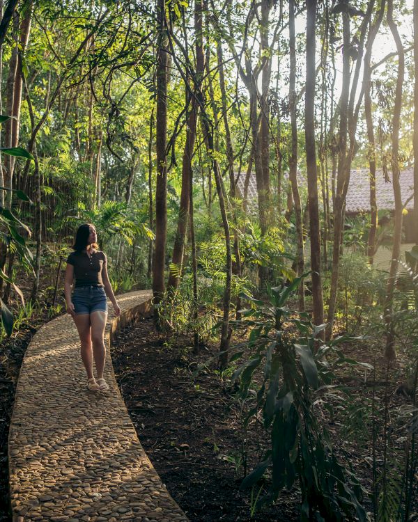 A person walking on a cobblestone path through a lush, sunlit forest with tall trees and green foliage, creating a serene and peaceful atmosphere.