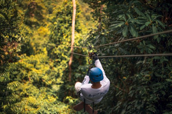 A person is zip-lining through a lush, green forest, wearing a blue helmet and white shirt, surrounded by dense foliage.