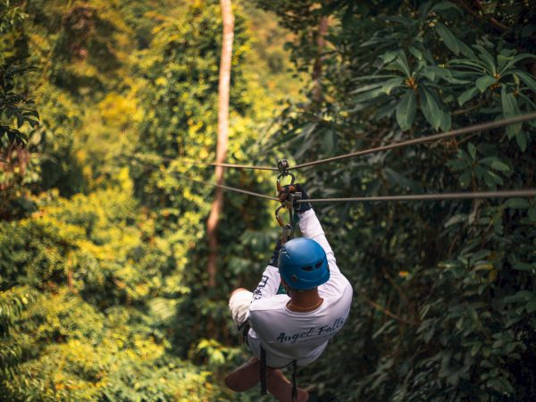 A person is zip-lining through a lush, green forest, wearing a blue helmet and white shirt, surrounded by dense foliage.