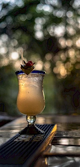 A cocktail on a bar mat, topped with a berry and flower garnish, set against a sunny, blurred outdoor backdrop.