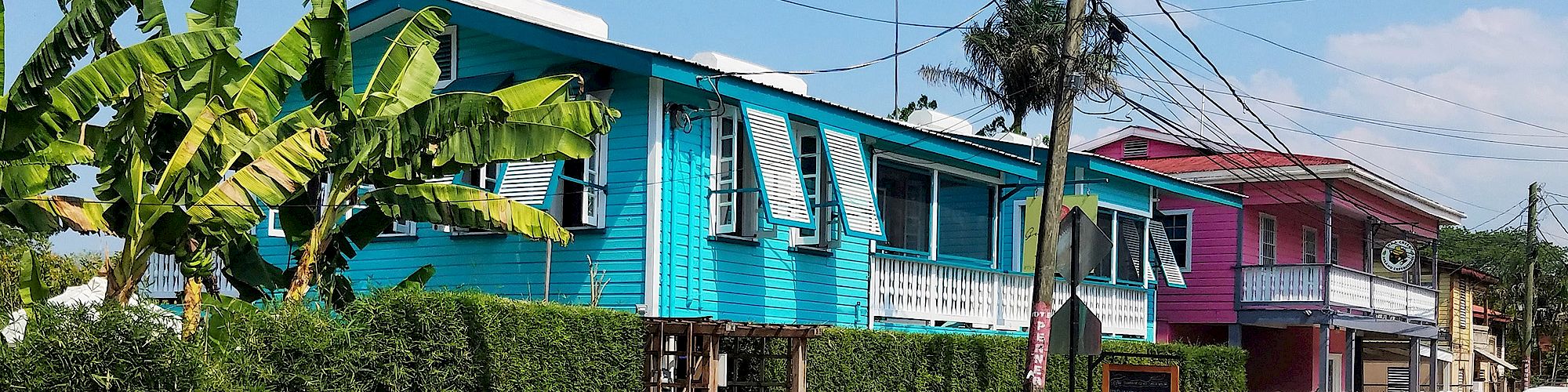 The image shows colorful houses lining a street, enclosed by white picket fences, with lush greenery and banana trees in the foreground.