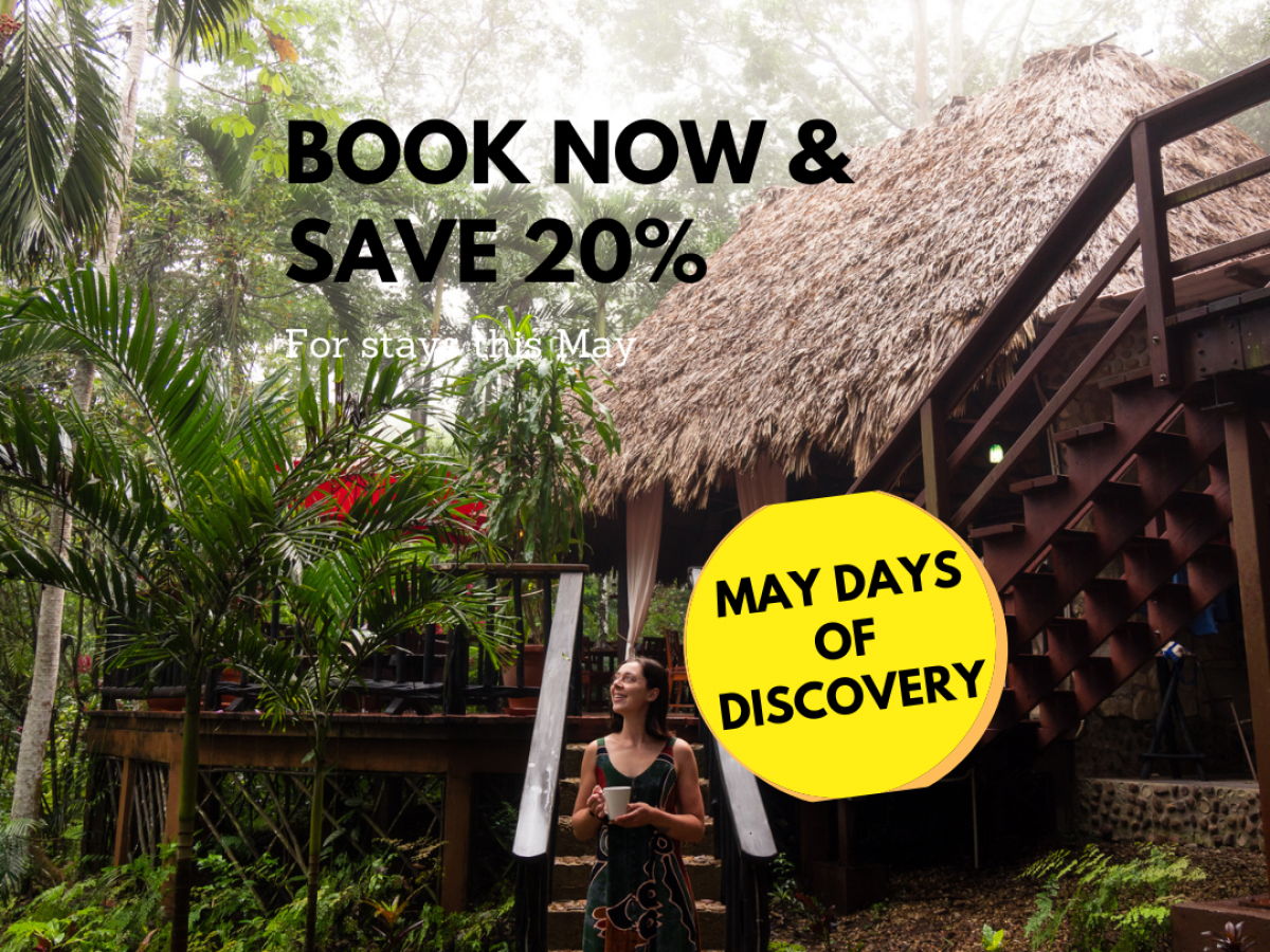 Text in the image promotes a 20% discount for bookings in May. Background depicts a tropical hut and lush greenery. Ends the sentence.