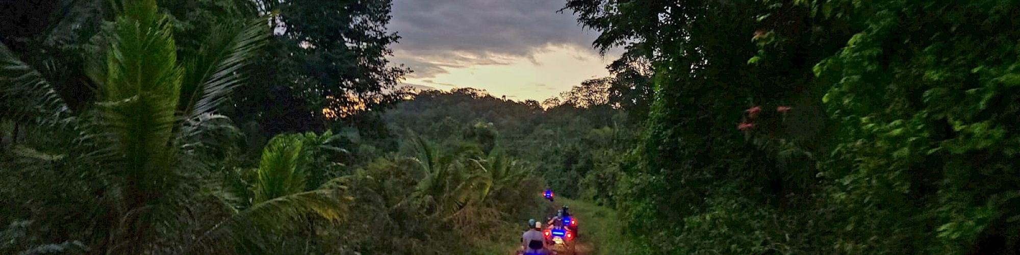 ATVs with blue and red lights drive along a dirt path through a lush, green jungle as the sun sets in the background.