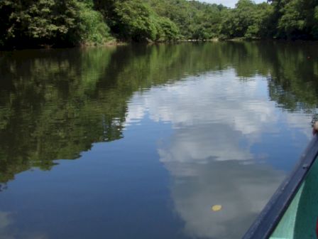 A scenic river view with lush green trees, calm water reflecting the sky, and the edge of a boat visible on the right side of the image.