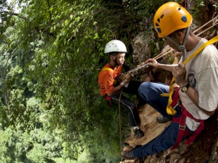 Two people wearing helmets and harnesses are rock climbing in a forested area. They appear to be assisting each other on the cliffside.