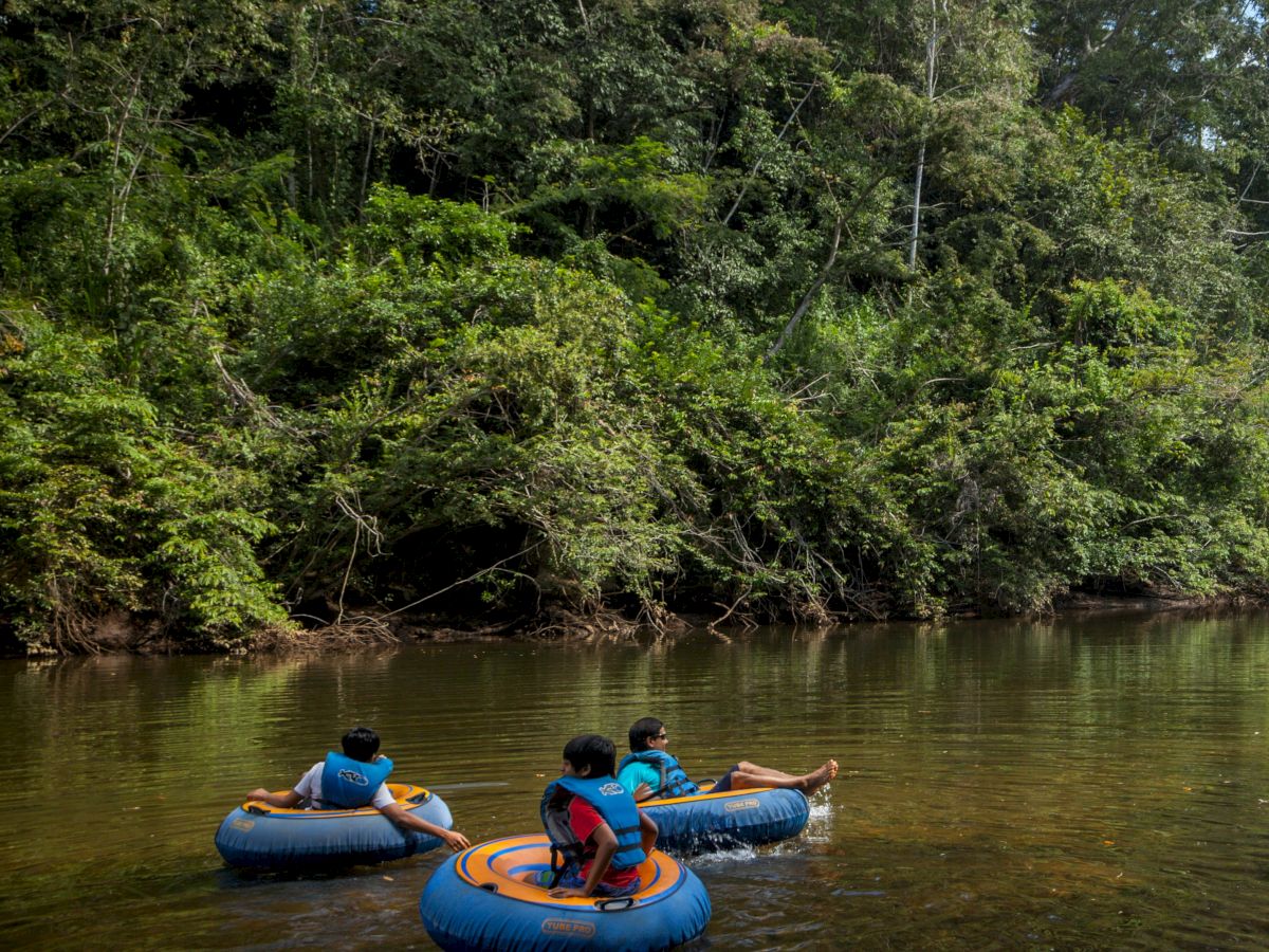 People are floating in blue inner tubes on a river surrounded by lush green forest, under a clear sky.